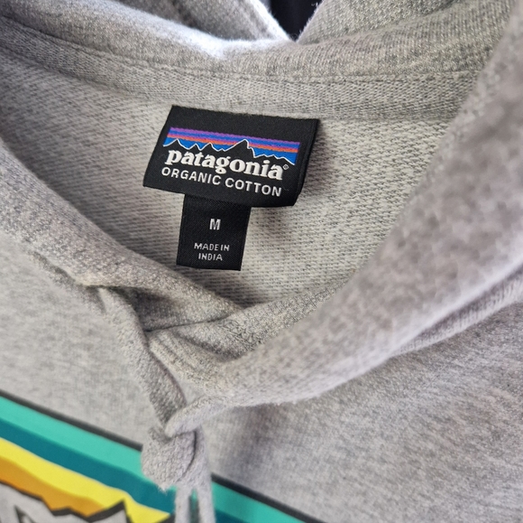 Men's Patagonia Hoodie Size Large - Picture 3 of 3